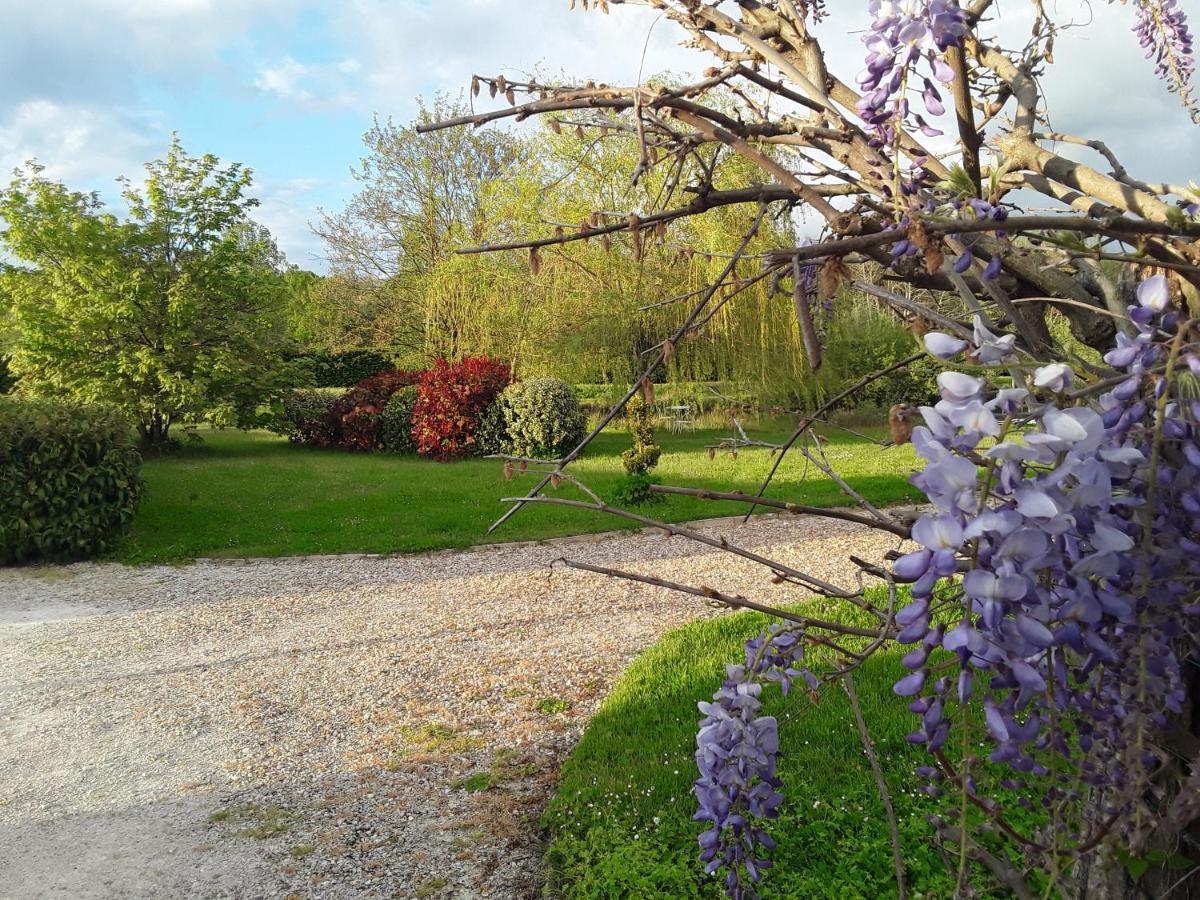 La Belviniere Chambres Et Table D'Hotes Tour-en-Sologne Exteriör bild