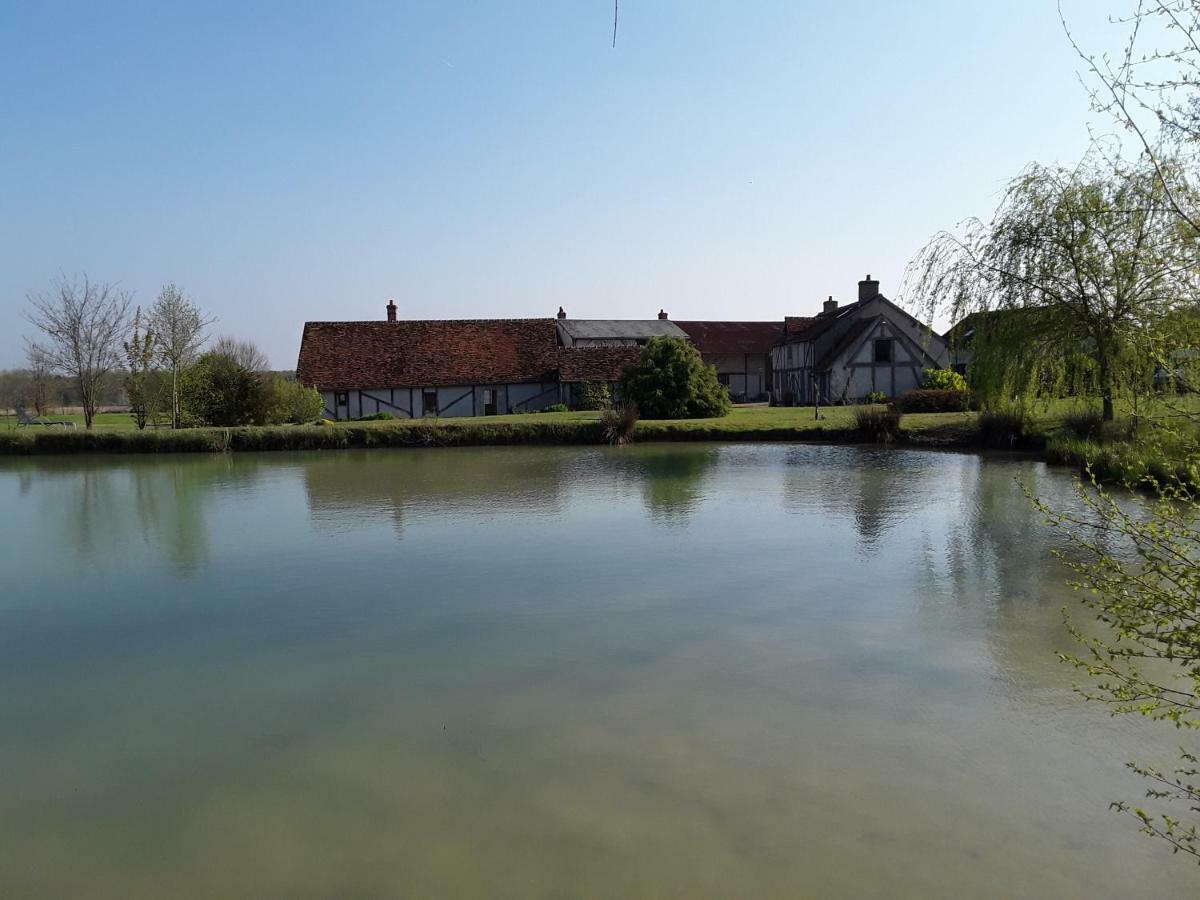 La Belviniere Chambres Et Table D'Hotes Tour-en-Sologne Exteriör bild