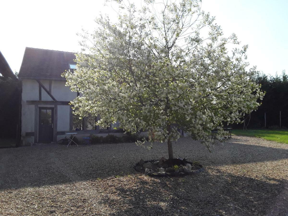 La Belviniere Chambres Et Table D'Hotes Tour-en-Sologne Exteriör bild